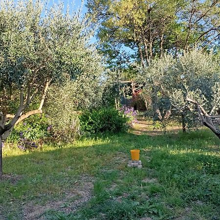 Studio 25M2 Avec Piscine Et Spa, Proche Iter Et Cadarache Leilighet Valensole Eksteriør bilde