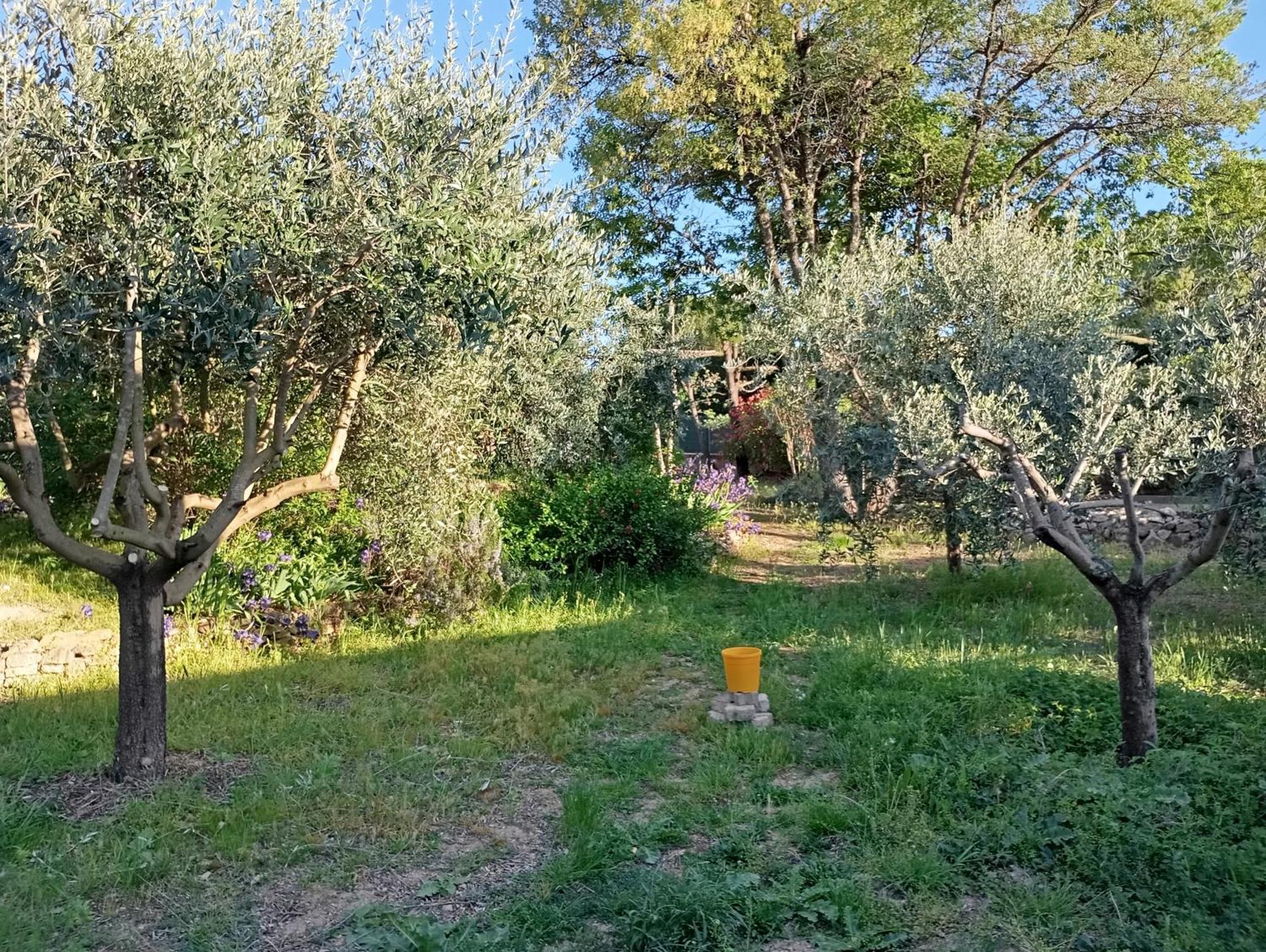 Studio 25M2 Avec Piscine Et Spa, Proche Iter Et Cadarache Leilighet Valensole Eksteriør bilde